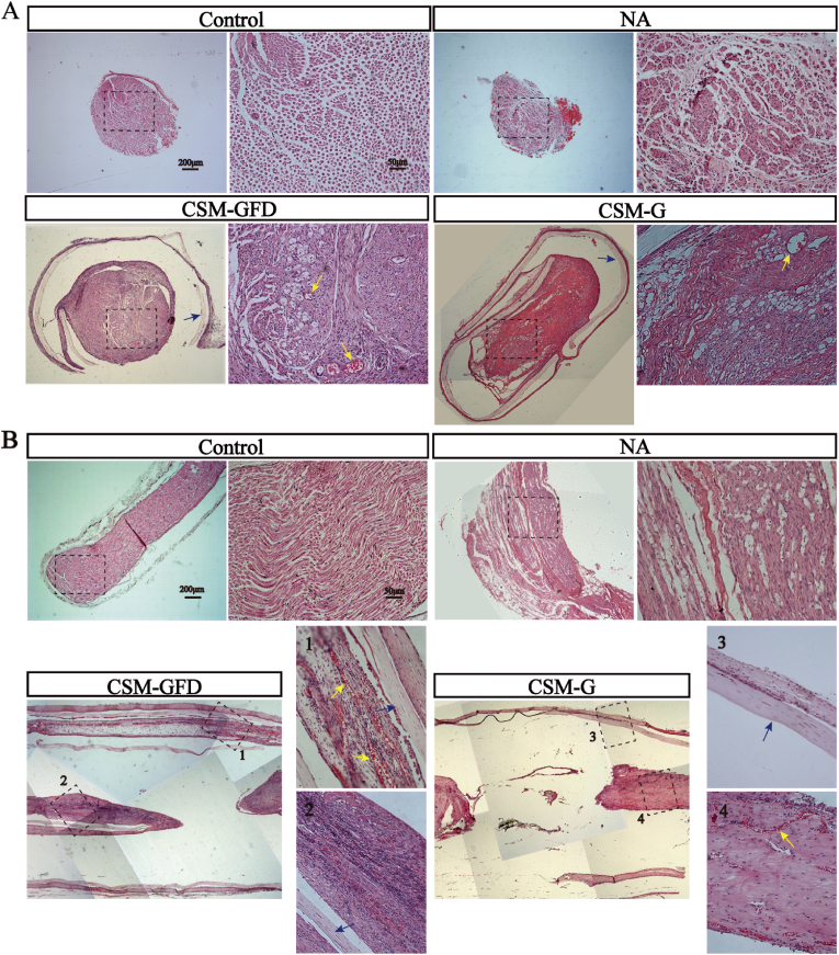 Fig. 9