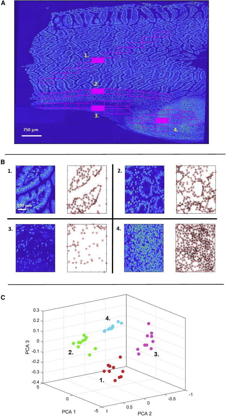 Figure 3