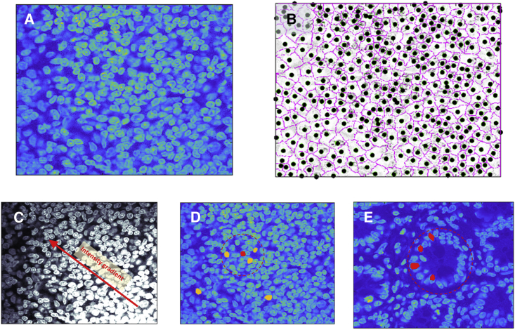 Figure 1