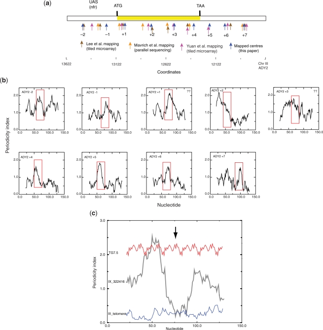 Figure 2.