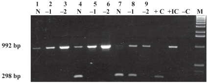 Figure 4