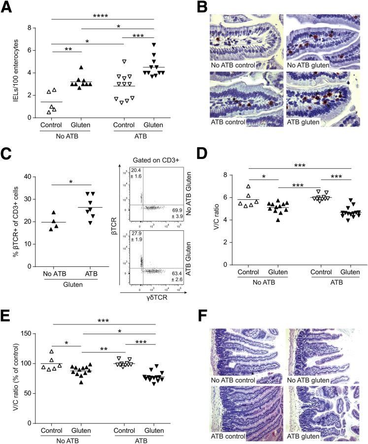 Figure 6