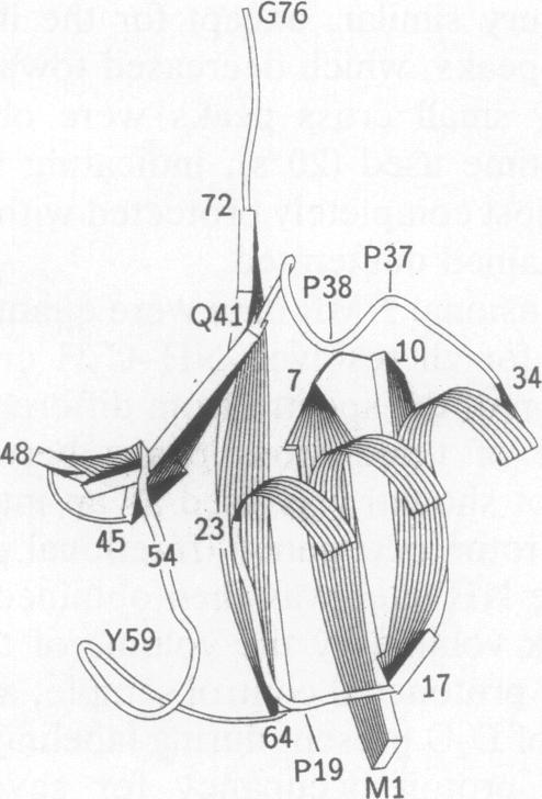 graphic file with name pnas01080-0032-a.jpg