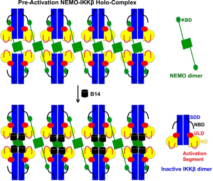 Figure 5.