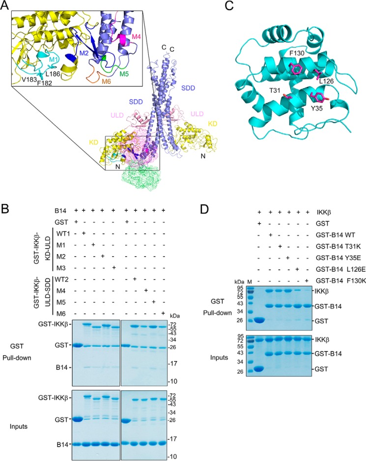 Figure 3.