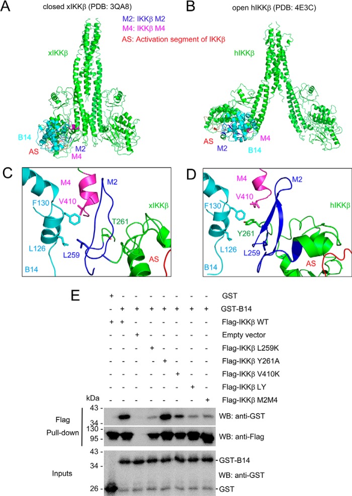 Figure 4.