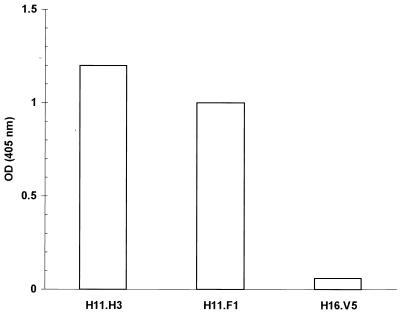 FIG. 1