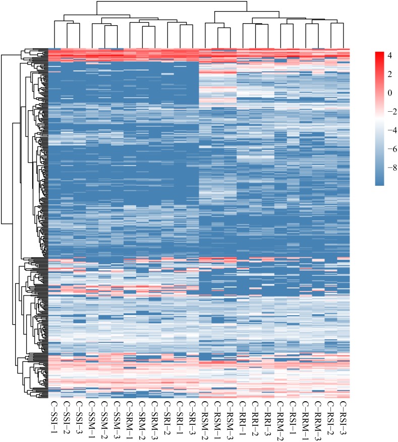 Figure 6