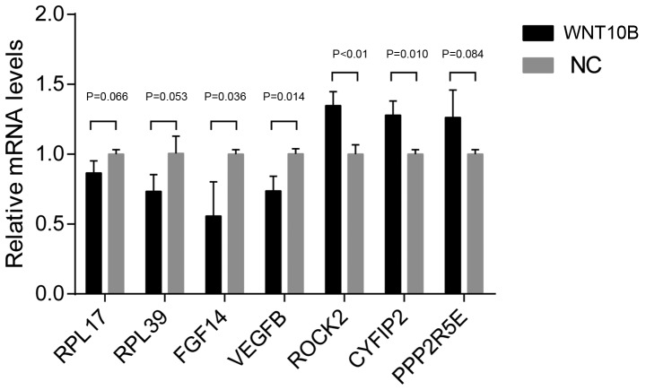 Figure 4.