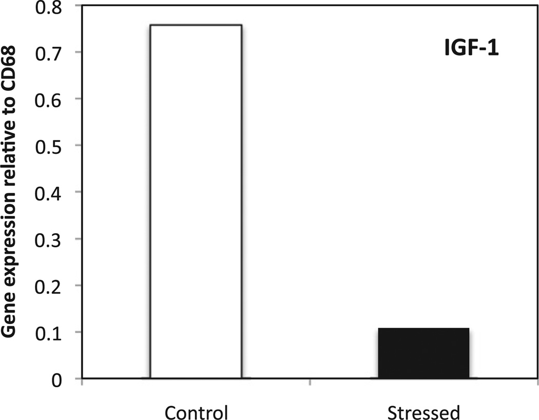 Fig. 10