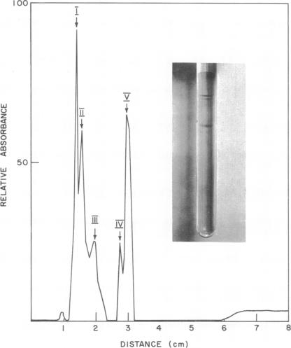 graphic file with name pnas00090-0328-a.jpg