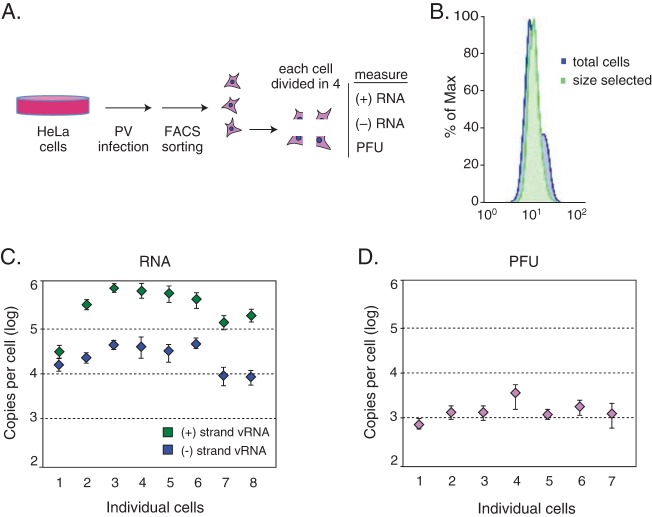 FIG 1