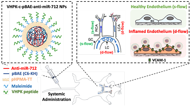 graphic file with name nihms-1664483-f0001.jpg