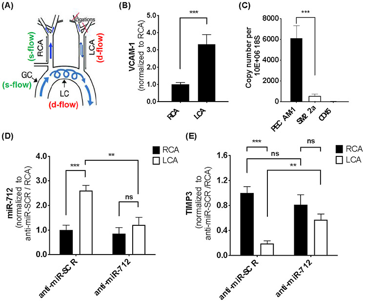 Figure 5: