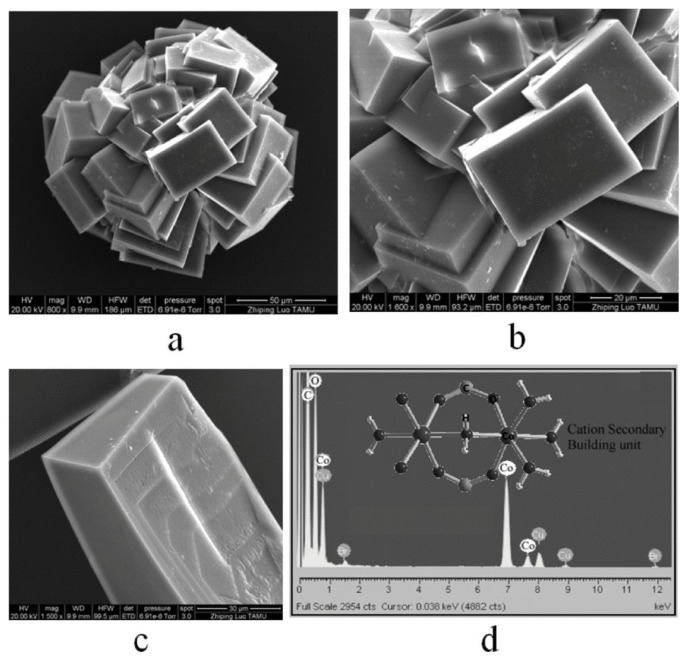 Figure 13