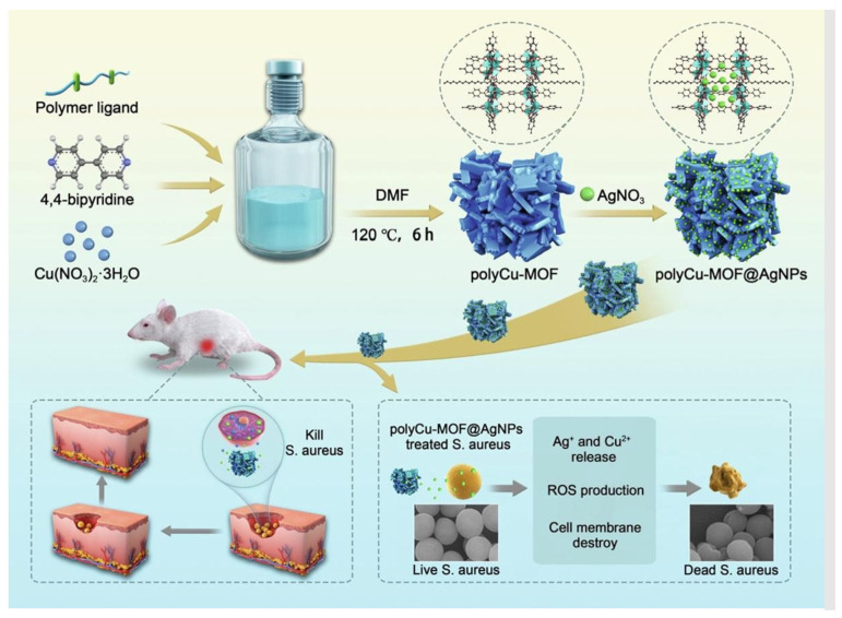 Figure 20