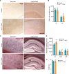 Figure 3—figure supplement 1.