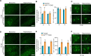 Figure 3—figure supplement 3.