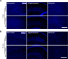 Figure 1—figure supplement 2.