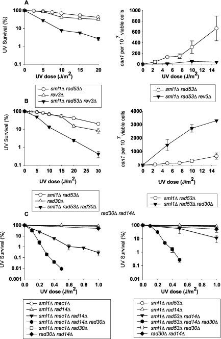 FIG 4 