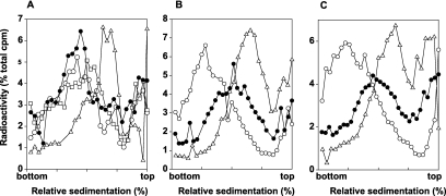 FIG 3 