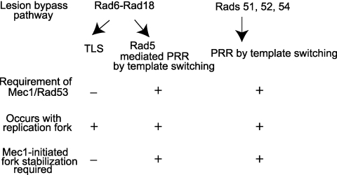 FIG 6 