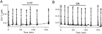 Fig. 3.