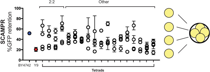 Figure 3—figure supplement 1.