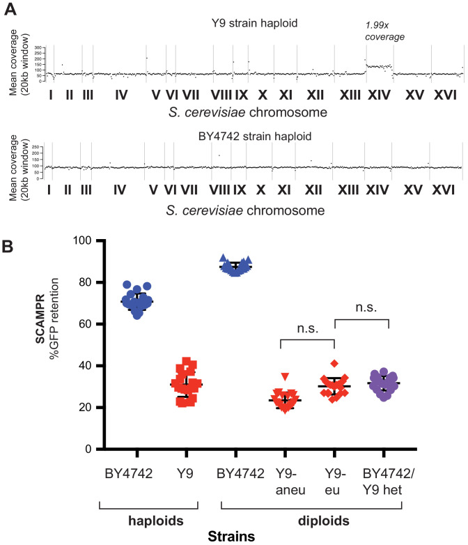 Figure 4—figure supplement 2.