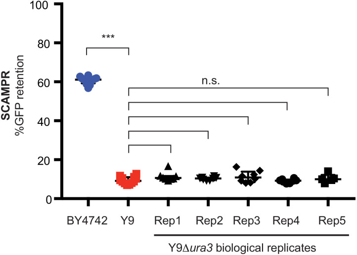 Figure 4—figure supplement 4.