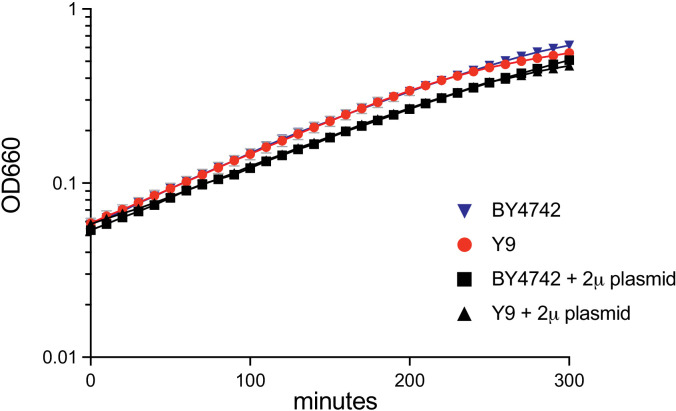 Figure 2—figure supplement 2.