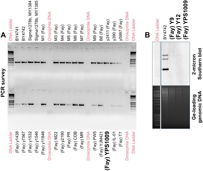 Figure 2—figure supplement 1.