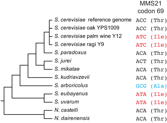 Figure 5—figure supplement 2.