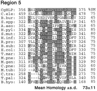 FIG. 7