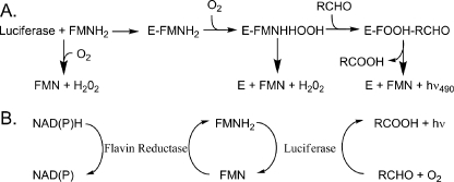 FIGURE 1.