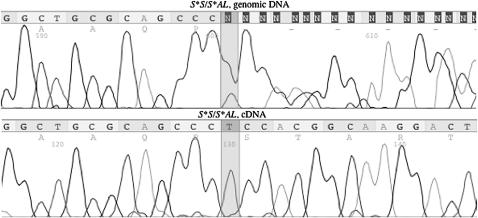 Figure 5.—