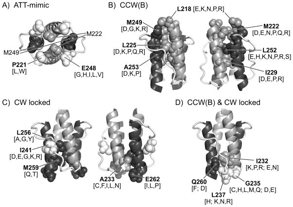 Fig. 8