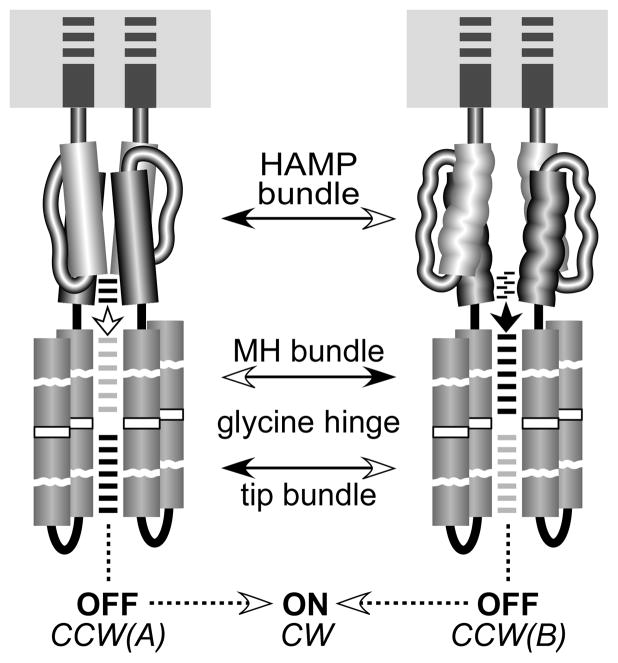 Fig. 9