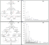 Fig. 11