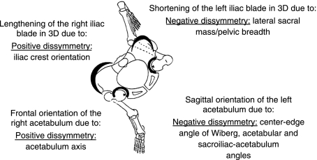 Fig. 11