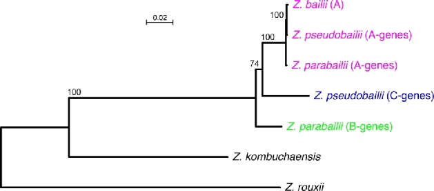 Figure 2.