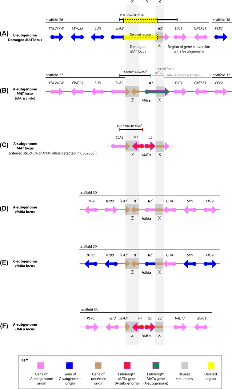 Figure 3.