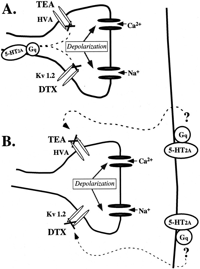 Fig. 8.