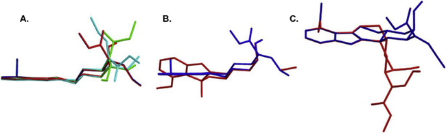 Fig. 5.