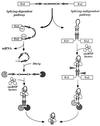 FIG. 8