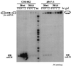 FIG. 7