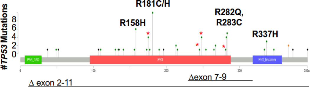 Fig. 2 –