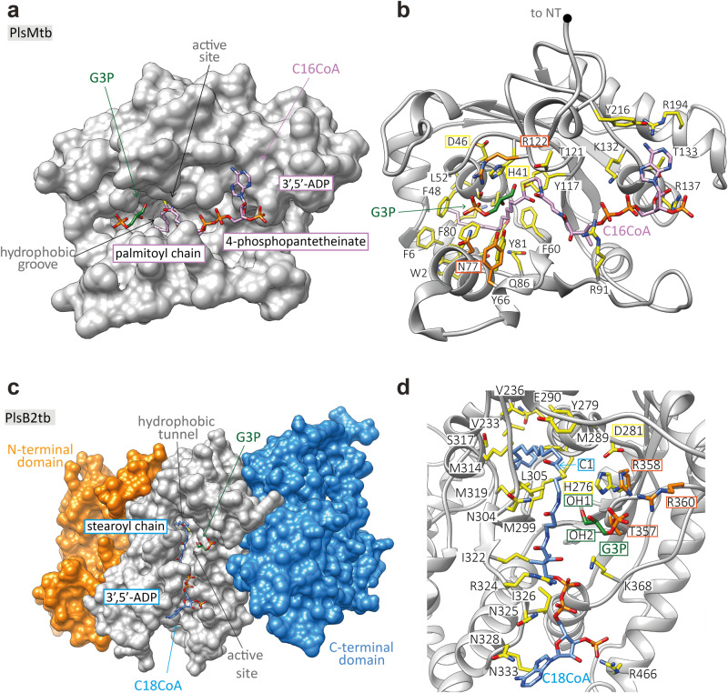 Fig. 7