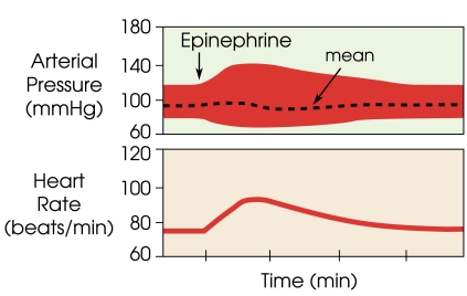 Fig. (3)