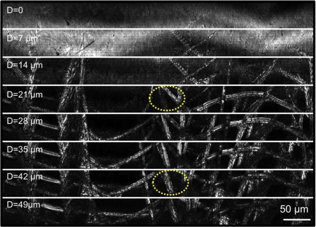 Fig. 6